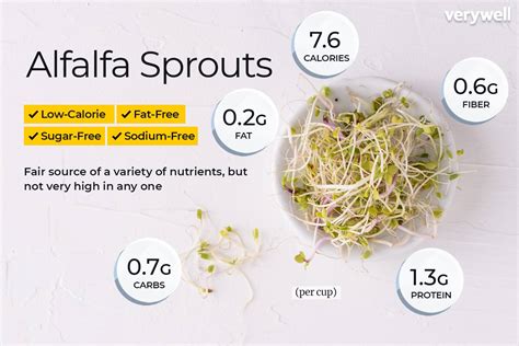 alfalfa sprouts nutrition data